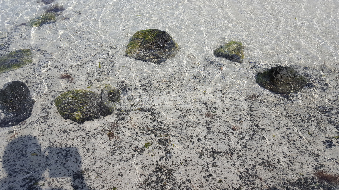 여름바다,바다풍경,푸른바다,sea,바다
