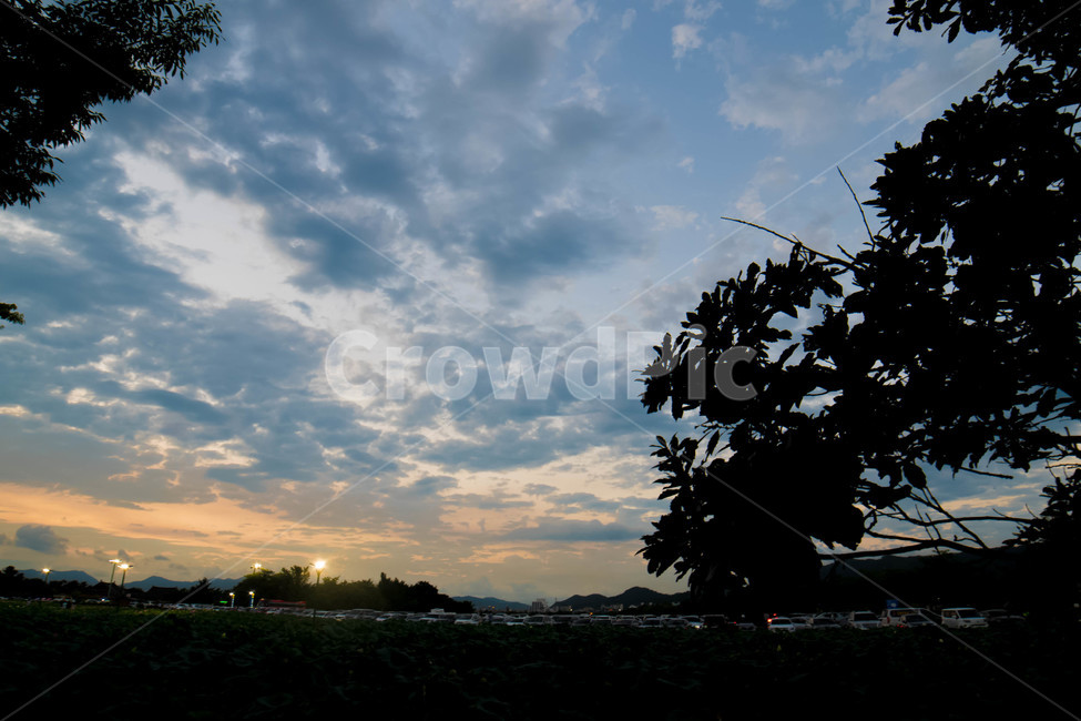 흐린날,경주,하늘,노을,구름많음,자연,풍경,nature,landscape,outdoors,옥외,tree,나무,plant,식물