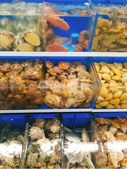 부산,해산물,자갈치시장,전복,수족관,생선,시장