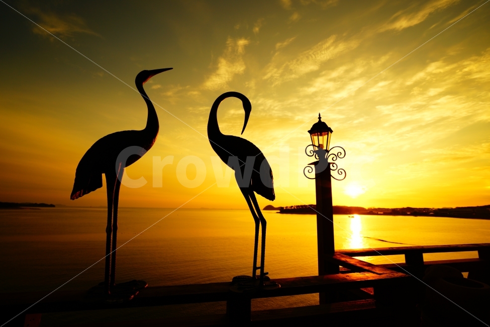 일몰,senset,태양,sun,바다,westsea,서해바다,동상,새,bird,감성,sensitive,붉은하늘,금빛바다,자연,풍경,nature,landscape,조각상,동상,석상,조형물,statue,bronze statue,stone statue,animal,동물