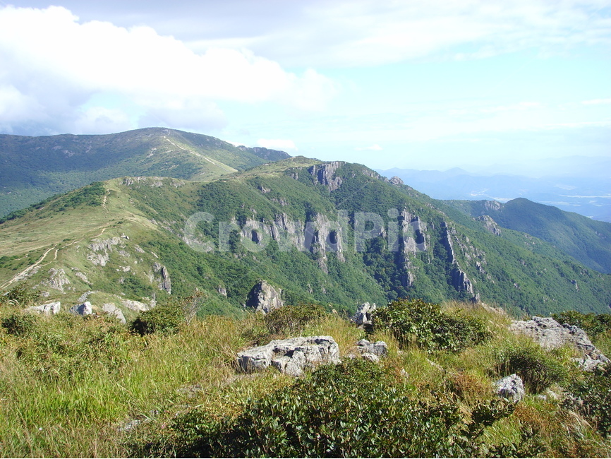 산,영남알프스,신불산,간월산,영축산,갈대,가지산,자연,풍경,nature,landscape,한국자연풍경,한국자연경관,korea nature landscape,outdoors,옥외,hill,언덕,slope,경사