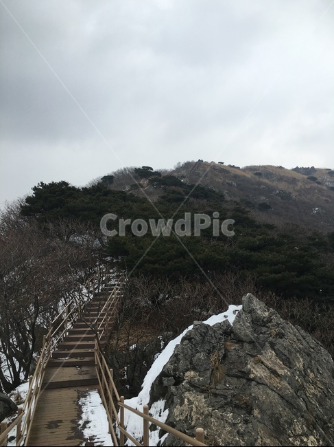 자연,산,나무계단,눈,야외,등산,겨울,계절,winter,season,자연,풍경,nature,landscape