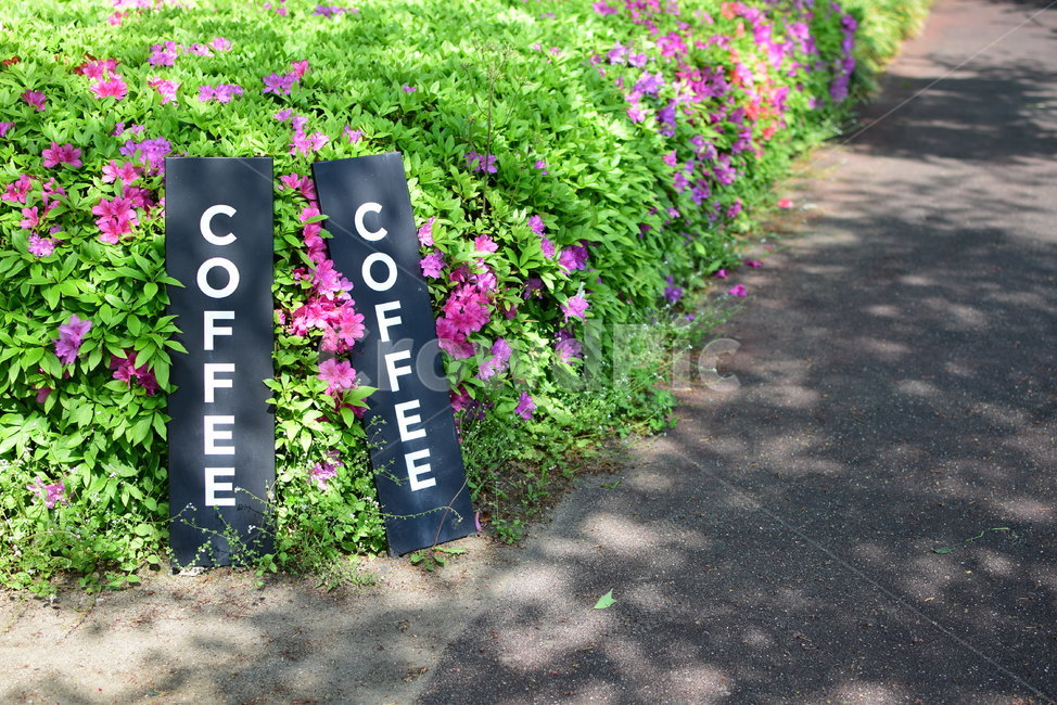 커피,coffee,입간판,자연,봄