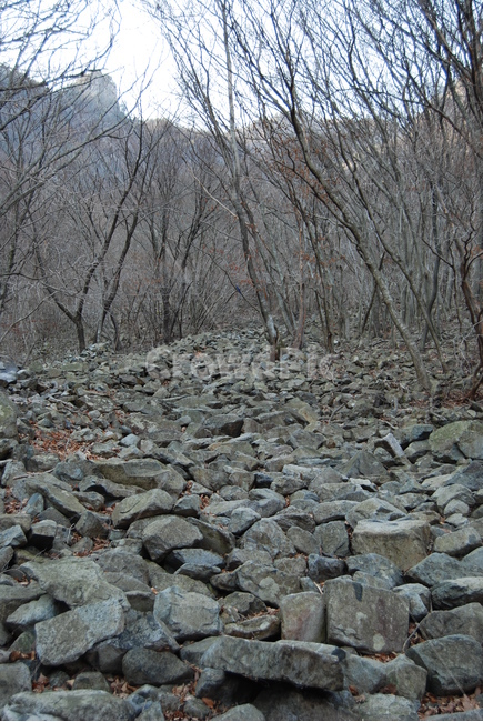 밀양재약산,천황산,재약산사자평원,결빙지,얼음골,등산로,능선,치유,여행,돌,산행,힐링,자연,동행,등산,계절,한국,한국명산,한국등산,풍경,나무,하늘,바람,땅,자연,풍경,nature,landscape,한국자연풍경,한국자연경관,korea nature landscape,rubble,파편,slate,슬레이트