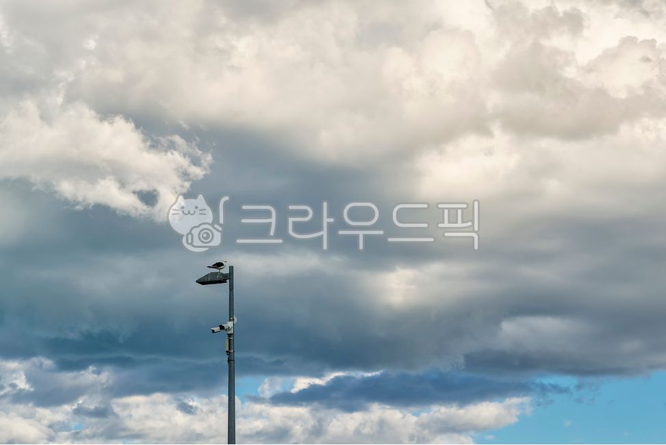 sky,nature,Street lamp,scene,cloud,Beach,Pillar,outdoors,cumulus,bird,sight,weather,animal,Seagull