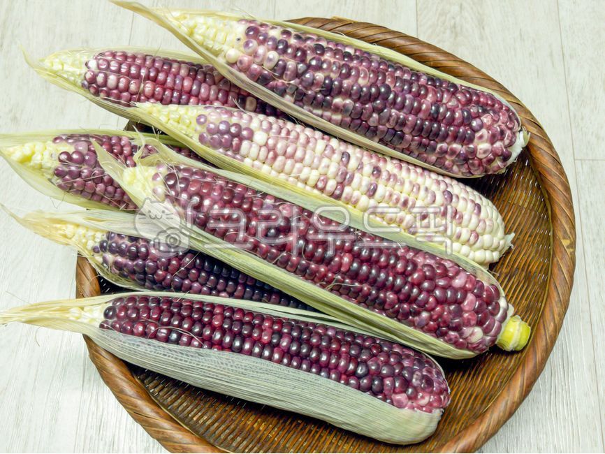 옥수수,간식,여름,맛있는,찰옥수수,식재료,신선한,건강한,영양많은,corn,food,식물,요리재료,야채,채소,콘,껍질,식자재,음식,곡물,먹거리,효능,신선,농작물,요리,흰배경,수확,흰색배경,푸드,알갱이,알,프레시,싱싱,하얀배경,카피스페이스,체,녹색,그린,초록색,바구니,대바구니,여러개