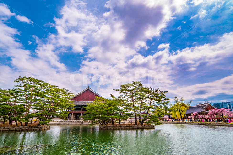 고궁,경복궁,연못,봄,경회루,서울,봄,계절,spring,season,한국전통,한국문화,korean traditional,korean culture,랜드마크,landmark,tourist attraction,한국랜드마크,한국관광지,한국명소,korea landmark,korea tourist attraction,건축물,건물외관,exterior,building,structure,architecture,construction,nature,자연,outdoors,옥외,건물,water,물