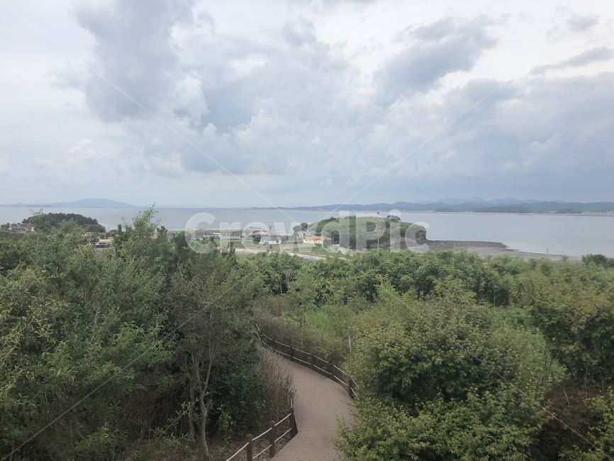 구름,하늘,숲길,풍경,힐링,outdoors,옥외,nature,자연,자연,풍경,nature,landscape