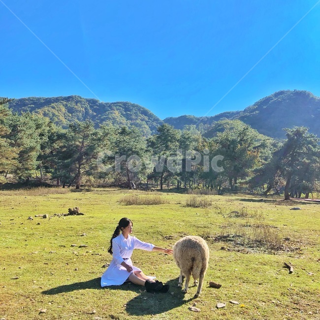 여자,양여자,양사람,사람,인물,모델,자연,산,옆모습,여행,알프스소녀,자연,풍경,nature,landscape,동물,animal,포유류,mammal,사람,인물,인간,human,person,여성,여자,woman,female,lady