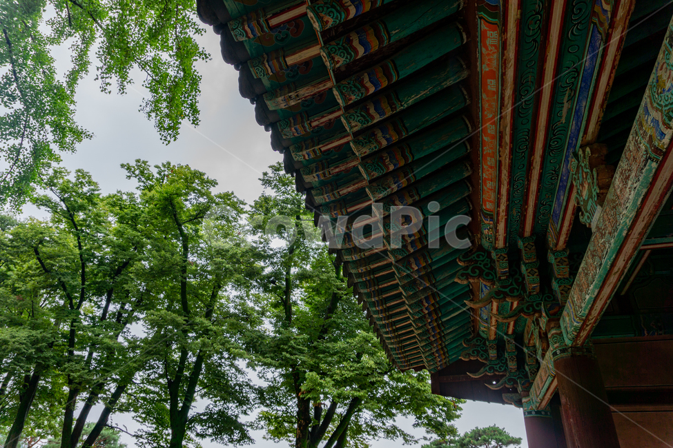 경기전,외삼문,공포,기와,처마,전통기와,traditional,korea,architecture,건출물,문화재,유적,사적,보물,문화유산,답사,전주,한옥마을,사당,신사,사찰,주포식,기둥,한옥,heritage,한국전통,한국문화,korean traditional,korean culture,건축물,건물외관,exterior,building,structure,architecture,construction