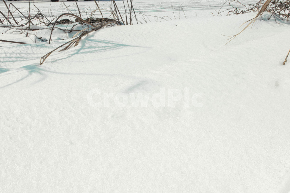 눈,겨울,눈밭,발자국,중산간,겨울,계절,winter,season