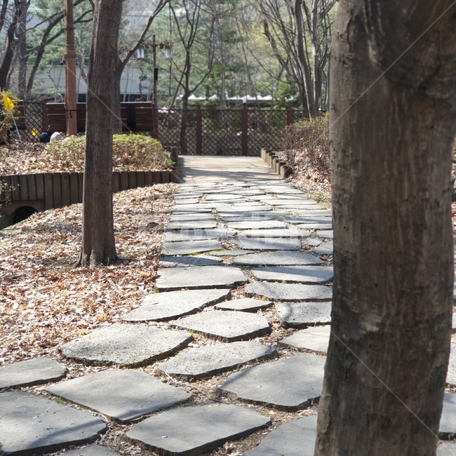 flagstone,판석,natural,forest,street,way
