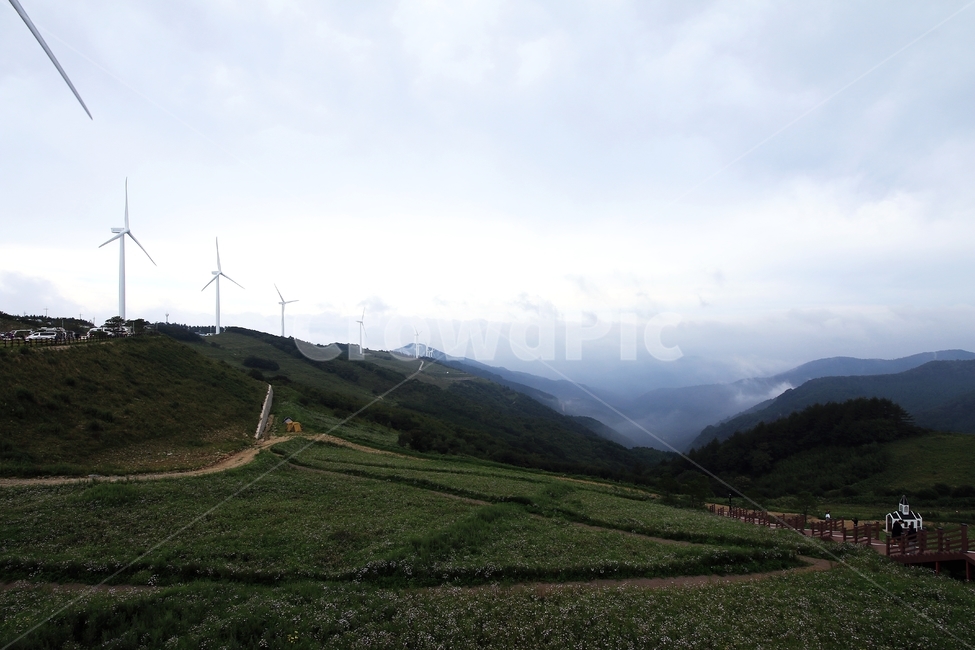 outdoors,옥외,청옥산,산,등산,산꼭대기,대한민국,한국,강원도,평창,구름,풍력발전기,바람,자연,환경,풀,나무,공원,빛,cheongoksan,mountain,mountainclimbing,mountaintop,southkorea,korea,gangwonprovince,pyeongchang,cloud,windgenerator,wind,nature,environment,grass,trees,parks,light,자연,풍경,nature,landscape