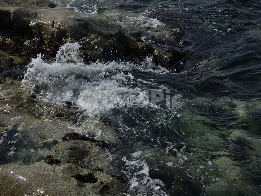 바다,파도,갯바위,자연,바위,시원한,감성,자연,풍경,nature,landscape,sea,water,물,ocean,대양,outdoors,옥외