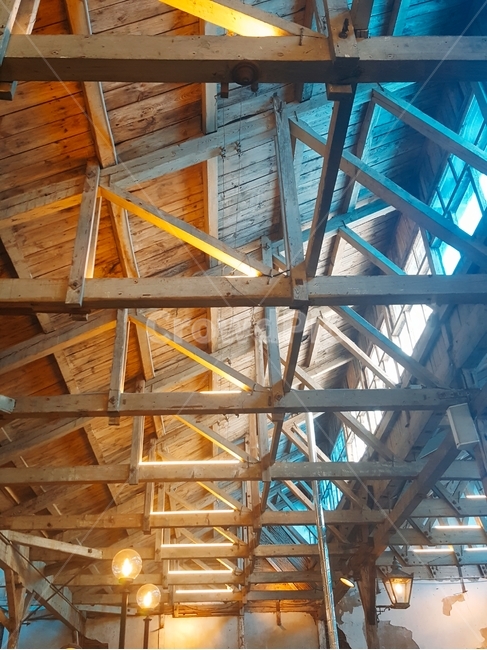 웜톤쿨톤,나무천장,카페,따듯한,차가운,건축물,건물외관,exterior,building,structure,architecture,construction