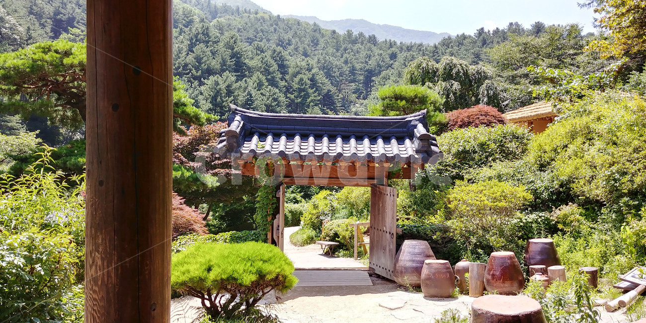항아리,outdoors,옥외,정원,garden,안마당,한옥,전통가옥,자연,조화,편안함