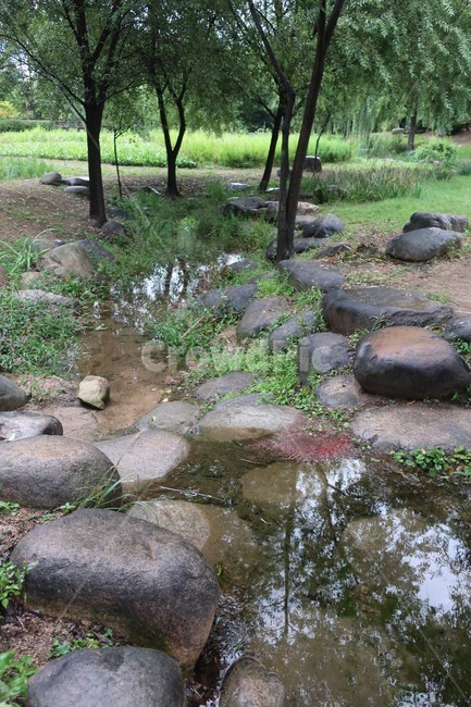 서울,창포원,식물원,도시,공원,습지,조성,숲,산책,산책로,자연,풍경,nature,landscape,water,물,slate,슬레이트