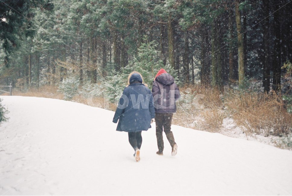 눈,겨울,제주도,숲,snow,winter,jeju,forest,겨울,계절,winter,season,사람,인물,인간,human,person