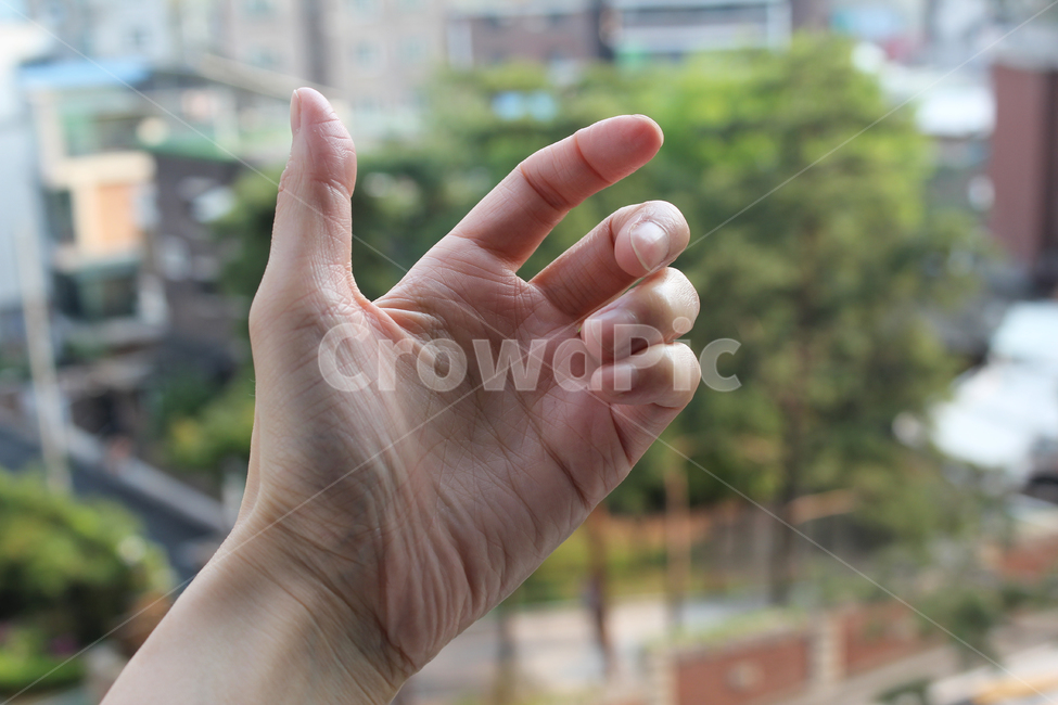 손,핸드,여자,여자손,성인,어른,사람,인체,신체,신체부위,부위,손가락,팔목,잡기,손바닥,손,제스처,표시,손짓,표현,gesture,hand,sign,expression