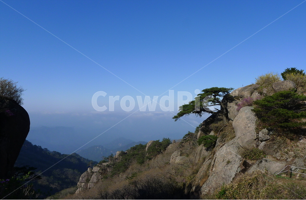 속리산,문장대,바위소나무,아침하늘,봄기운,자연,풍경,nature,landscape,한국자연풍경,한국자연경관,korea nature landscape,outdoors,옥외,cliff,낭떠러지,slope,경사,land,땅
