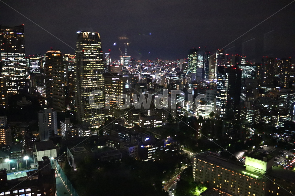 도쿄,일본,tokyo,japan,건물,도시,시티,city,중심지,야경,밤,풍경,nightscape,night,landscape,도시,city,해외,외국,세계,foreign,oversea,world,세계도시풍경,해외도시풍경,외국도시풍경,world cityscape,nature,자연,outdoors,옥외,경치,building,town,urban,어반,scenery,downtown,도심