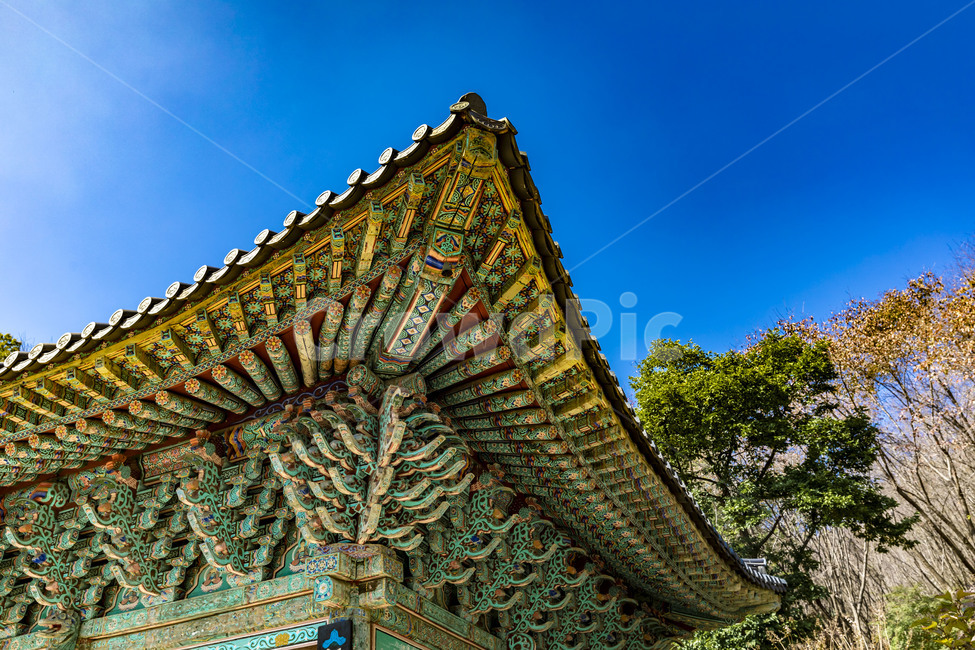 traditional buildings,temples,traditional houses,old temples,tile roofs,religion,traditional tiles,Buddhism,eaves,Hanok,Geumnyeonsa Temple,cultural assets,Dancheong