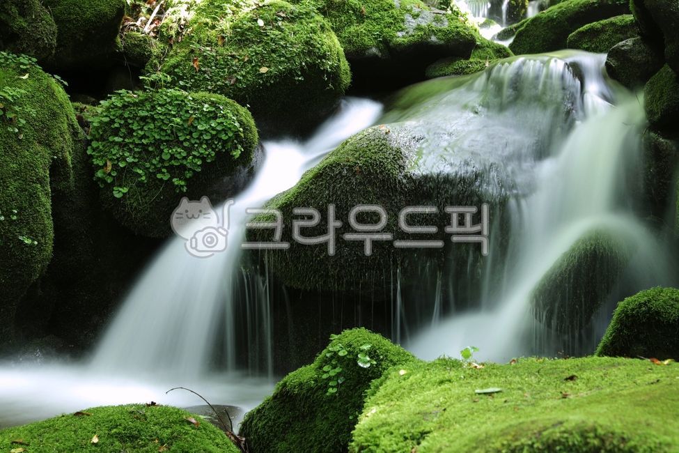 green grass,valley water,nature,Moss,waterfall,moss valley,water