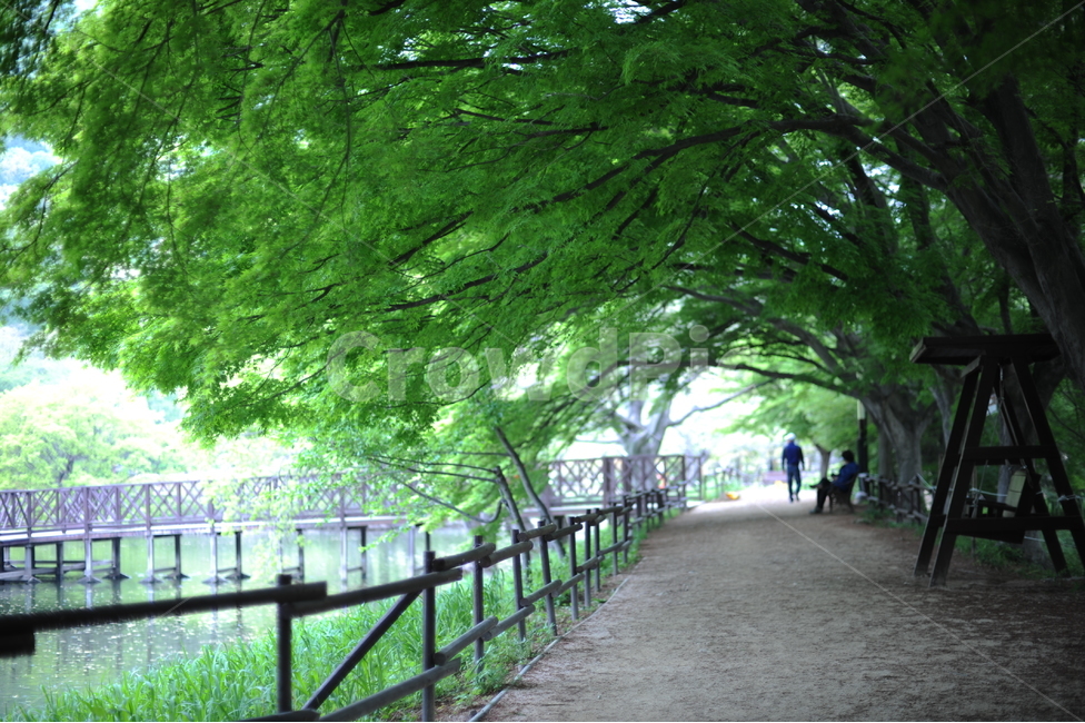 person,옥외,정자,정원,나무,식물,자연,plants,nature,나무,trees,wood