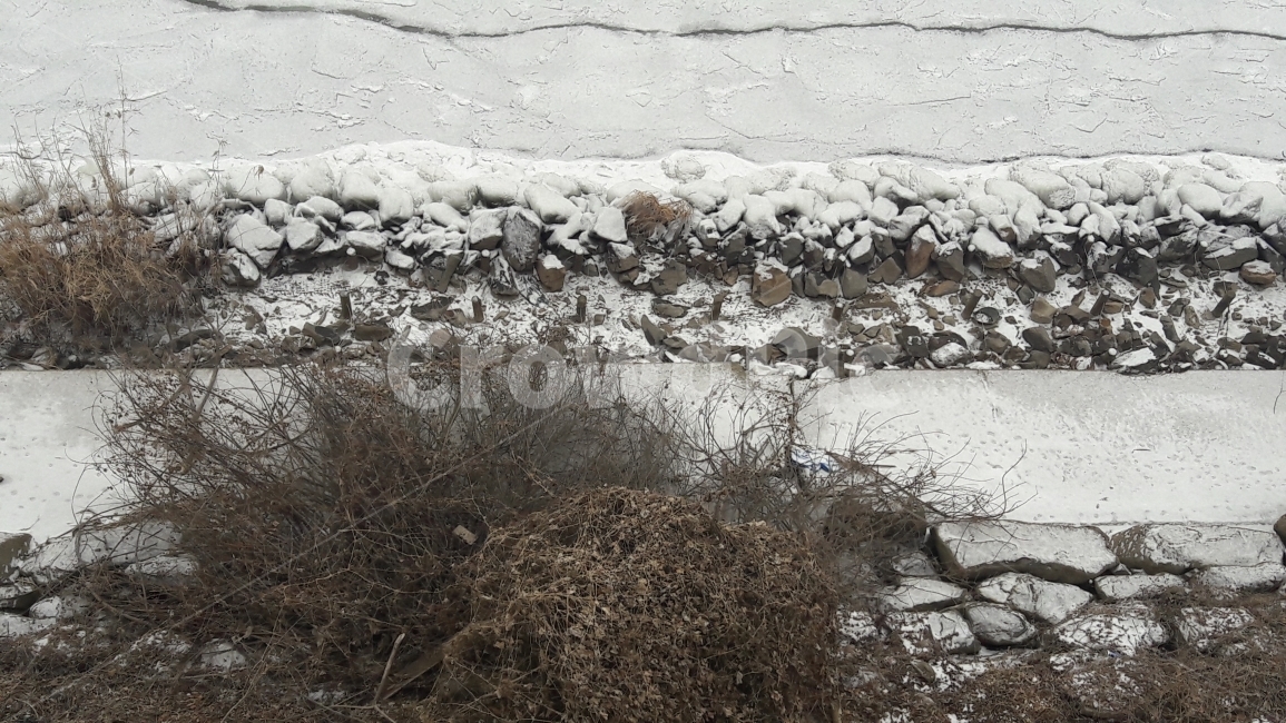 한강,선유도,돌,얼음,나무,겨울,계절,winter,season