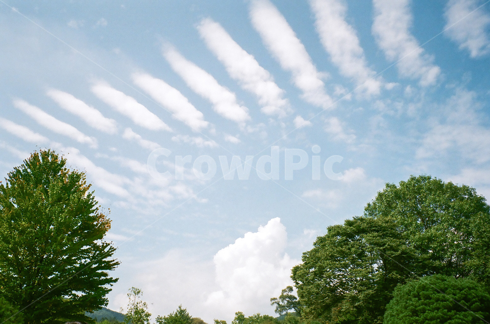하늘,배경,자연,풍경,cloud,필름,film,nature,감성,sky,색감,파랑,블루,color,blue,초록,힐링