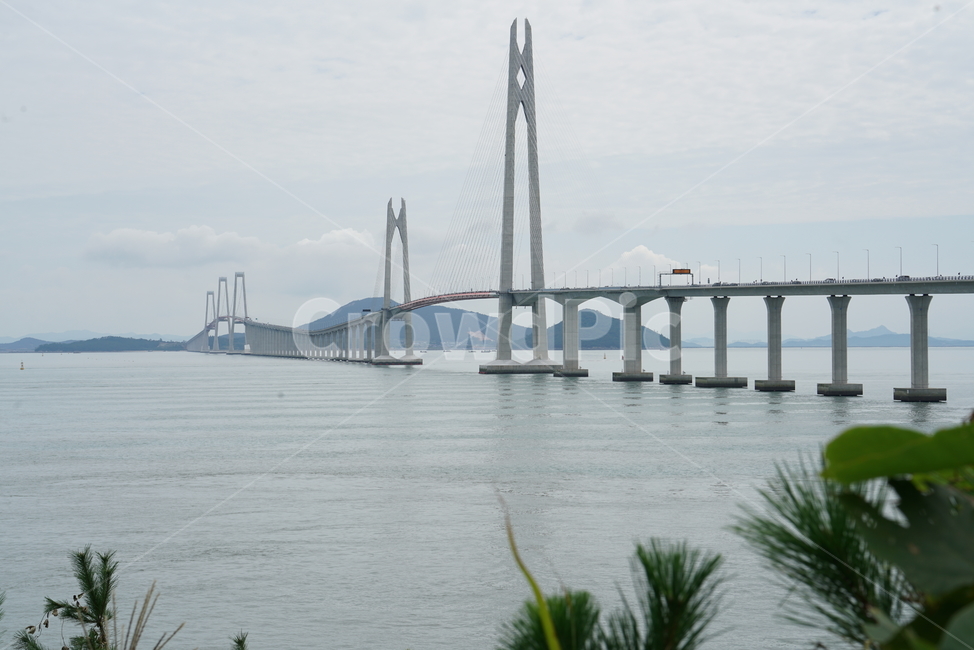 천사대교,신안군,압해도,암태면,천사섬,사장교,현수교,다리,bridge