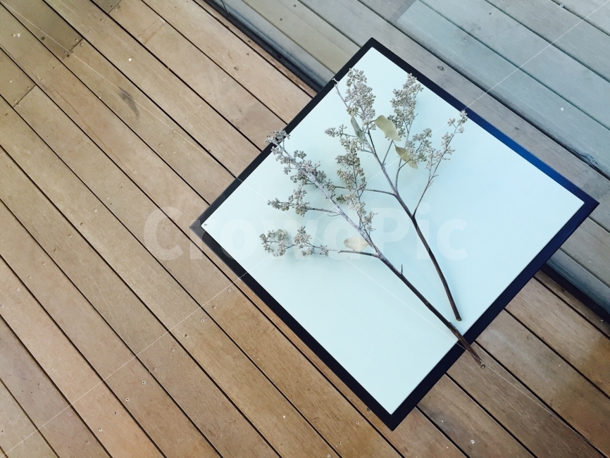 드라이플라워,꽃,인테리어,의자,쓸쓸함,식물,자연,plants,nature,꽃,flower