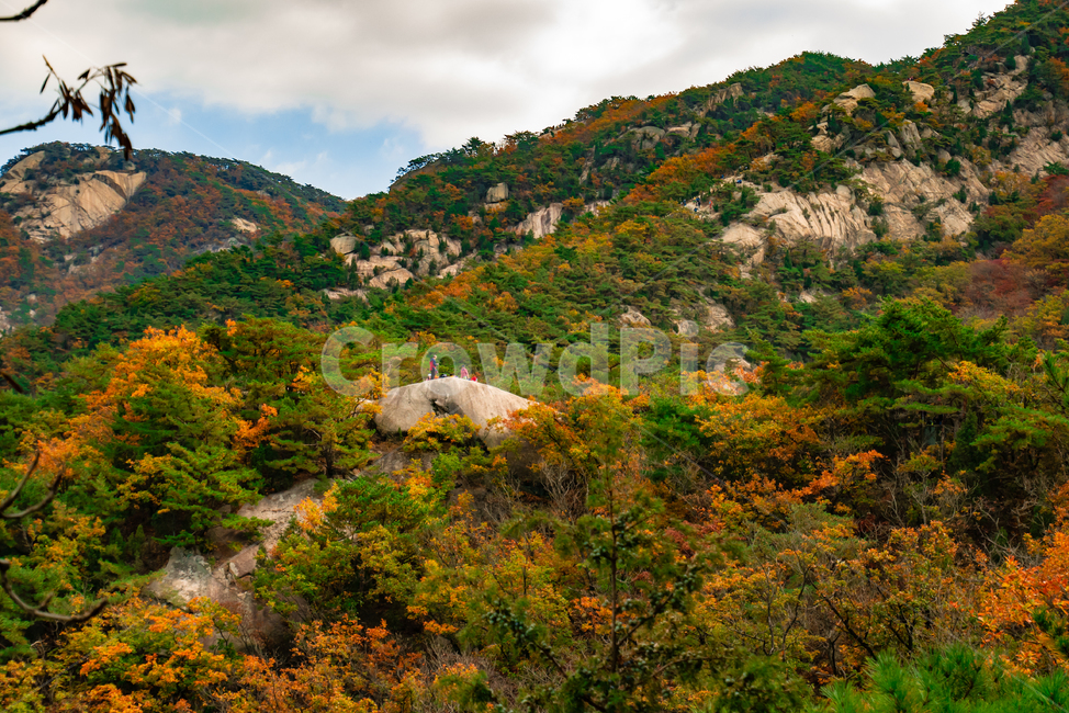산,가을,자연,풍경,등산,나무,배경,한국자연풍경,nature,mountain,tree,sky,fall,구름,outdoors,옥외,언덕,hill