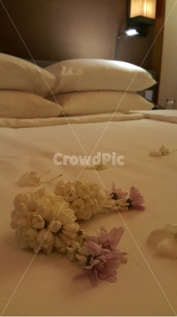 침대,꽃,조명,에로틱,침대와꽃,꽃,flower,기념일,축하,anniversary,congratulation,celebrate,celebration,인테리어,실내디자인,interior design