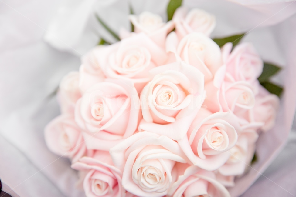 결혼,웨딩,결혼식,부케,장미,꽃,꽃부케,장미꽃,꽃,flower,기념일,축하,anniversary,congratulation,celebrate,celebration