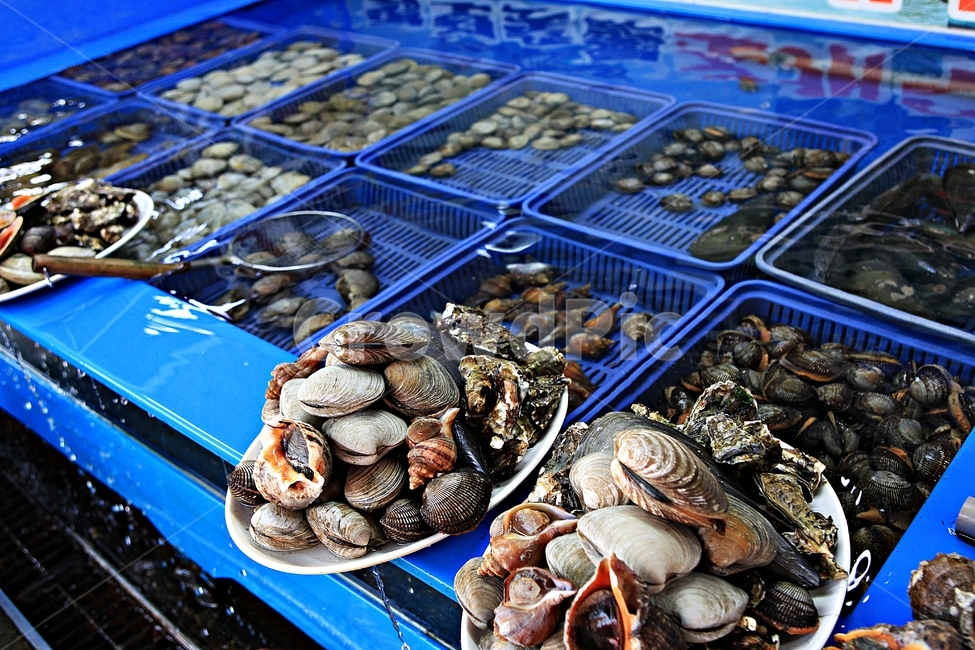 조개,식재료,먹거리,음식,조개구이,배경,자연,시장,마트,마켓,market,mart,market place,음식,식재료,요리,food,cook,meal,dishes,food reserves,수산물,해산물,fishery products,seafood