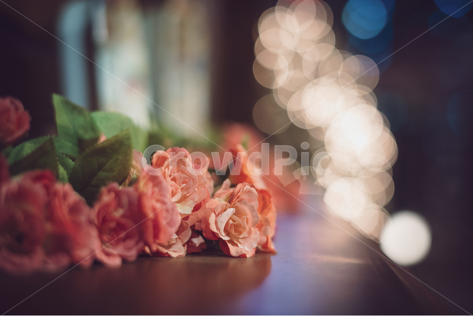 bokeh,bouquet,rose,flower,Emotional photo