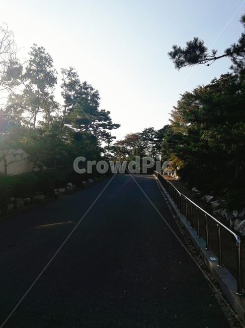성당,올라가는곳,김포,길,나무,자연,풍경,nature,landscape,light,빛,flare,플레어,asphalt,아스팔트,road,도로