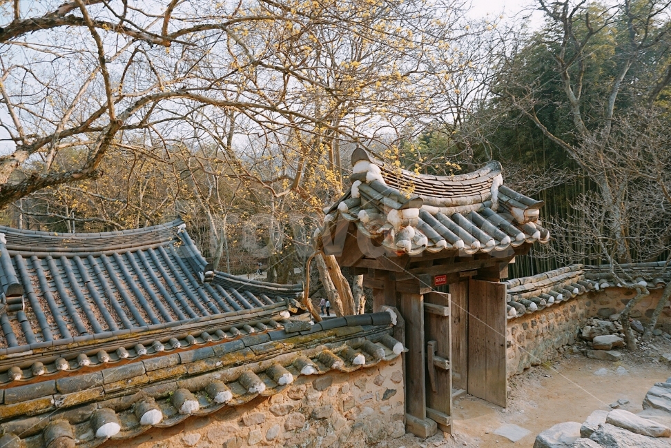 여행,travel,여행사진,국내여행,혼자여행,사진,담양,담양여행,배경사진,배경,이쁜사진,색감,색감좋은사진,소쇄원,겨울,겨울의끝자락,한옥,절,한국전통,한국문화,korean traditional,korean culture