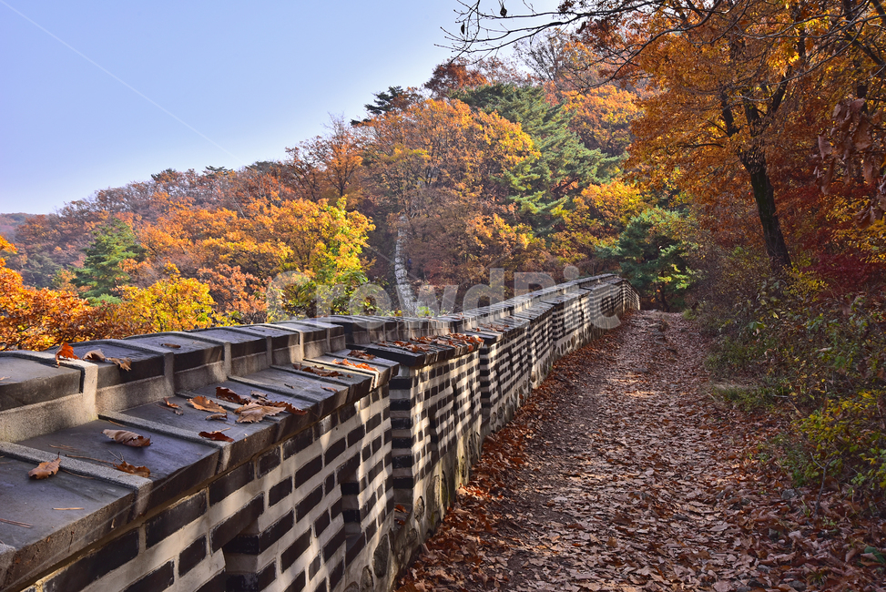 가을,가을배경,남한산성,세계문화유산,한국자연경관,둘레길,성곽길,산책로,등산로,산,배경,바탕,백그라운드,단풍산,단풍숲,성벽,계절,시즌,season,outdoor,옥외,야외,가을산,식물,plant,flowers,autumn,fall,background,maple,tree,형형색색,오색의,찬란한,칼라풀,colorful,가을풍경,길,돌담,한국전통,호젓한,사람들,등산객,힐링,healing,가을,계절,fall,autumn,season,자연,풍경,nature,landscape,한국자연풍경,한국자연경관,korea nature landscape,나무