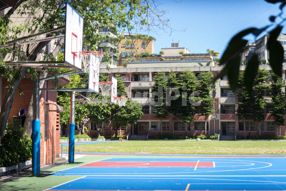 학교,운동장,농구장,하늘,감성,코트,창문,골대,운동,농구,나무,화사,잔디,스포츠,레저,운동,sports,leisure,exercise