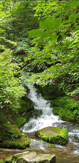 폭포,시원함,계곡,숲속,옹달샘,자연,풍경,nature,landscape,water,물,outdoors,옥외,river,강,waterfall