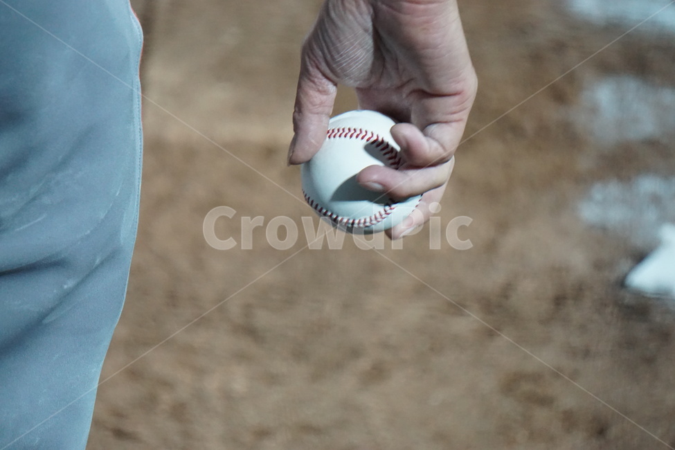 야구,야구공,공,baseball,ball,sports,스포츠,손,스포츠,레저,운동,sports,leisure,exercise