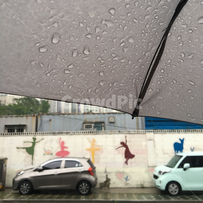 비,우산,거리,풍경,길