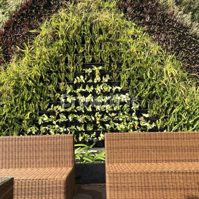 초록색,나무,의자,장식,잎사귀,식물,자연,plants,nature