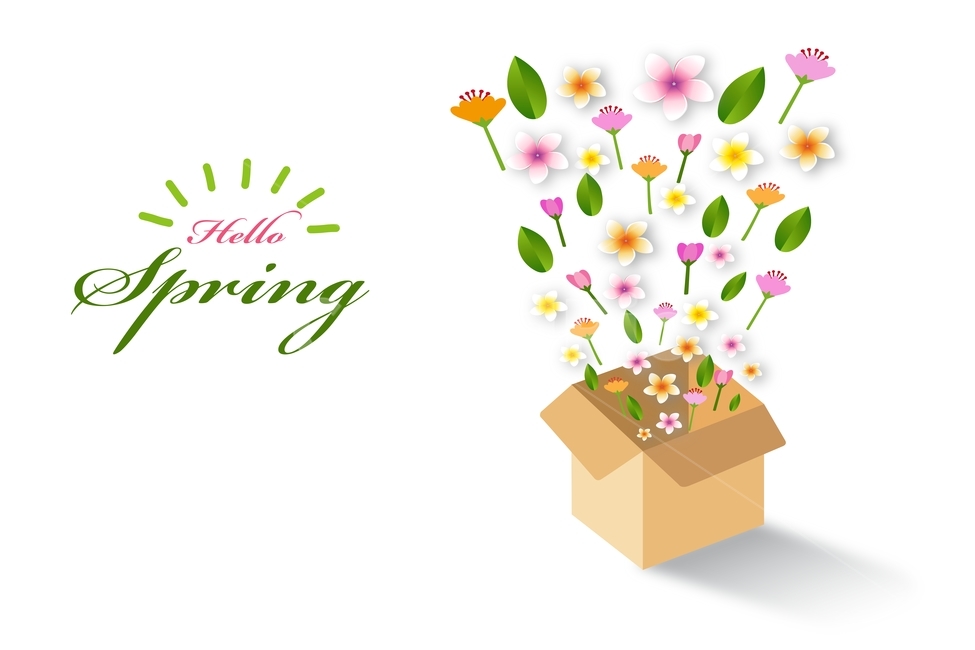 그래픽,프레임,일러스트,봄꽃,배너,포스터배경,봄배너,카드,spring,바탕,배경,백그라운드,background,illustration,graphic,banner,poster,flame,시즌,계절,season,박스,개봉,축하,봄,계절,spring,season,꽃,flower,그래픽,일러스트레이션,graphic,illustration
