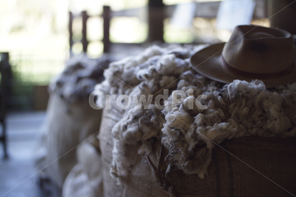 양털,clothing,apparel,wool,모자,양모