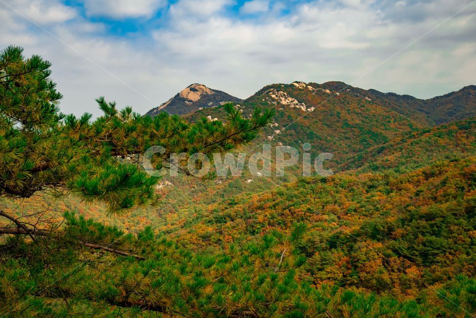 산,가을,자연,풍경,나무,배경,한국자연풍경,nature,mountain,tree,sky,fall,구름,outdoors,옥외,언덕,hill