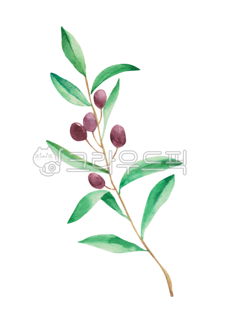 Nukki,branch,spring,spring flowers,petal,olive,drawing,floral,green,blossom,handwork,nature,hand drawing,png,food,flower,watercolor,painting,background,plant,illustration,Watercolor,colorful,olive branch,object