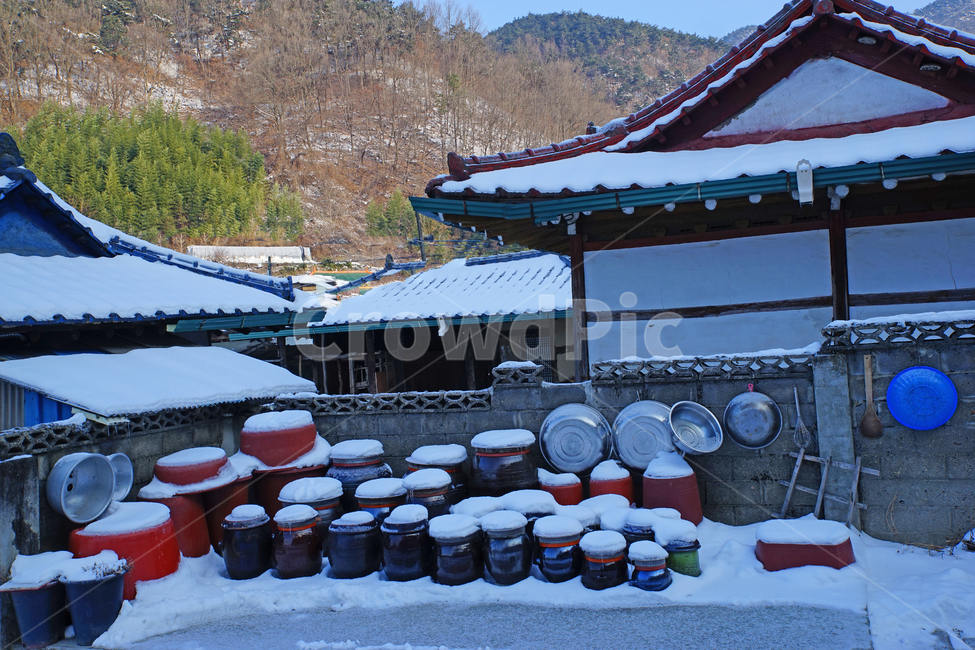 겨울,설경,장독대,눈,전통